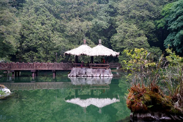 Alishan forest lake with bridge