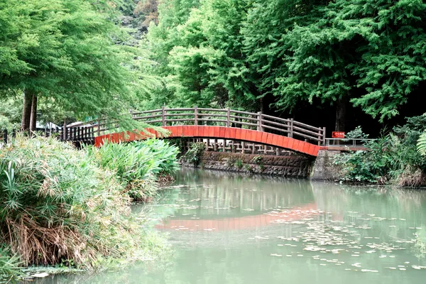 Red bridge over forest stream, Yilan